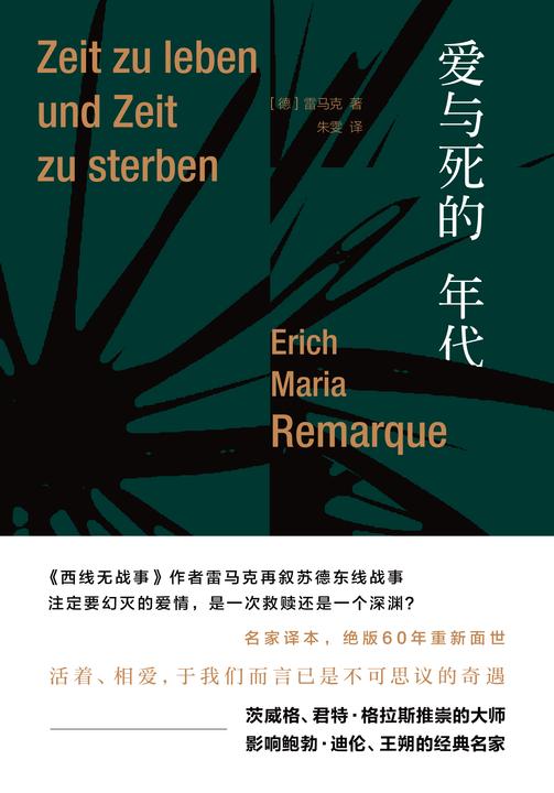 雷马克作品系列:爱与死的年代