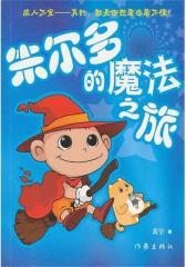 朱尔多的魔法之旅(试读本)