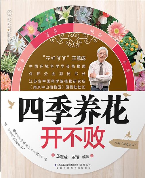四季养花开不败