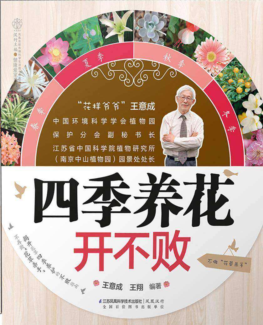 四季养花开不败