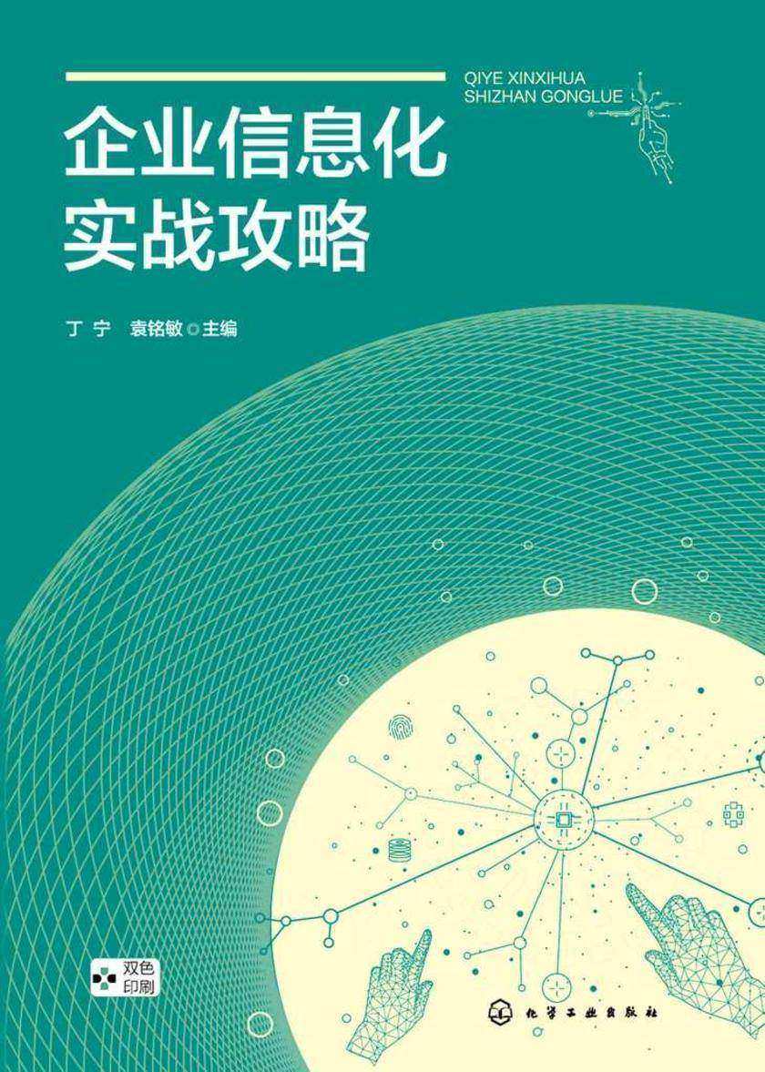 企业信息化实战攻略