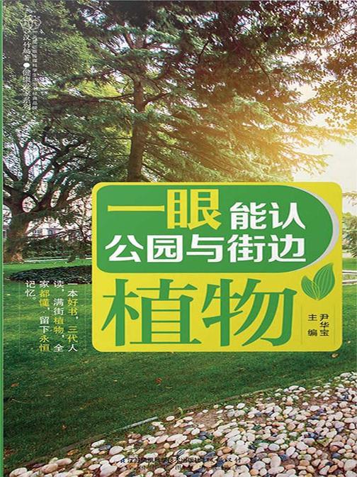 一眼能认公园与街边植物