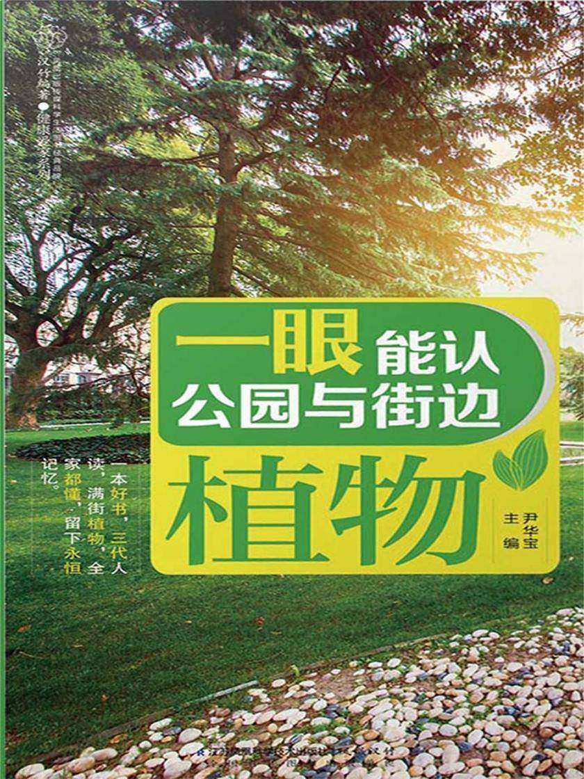 一眼能认公园与街边植物
