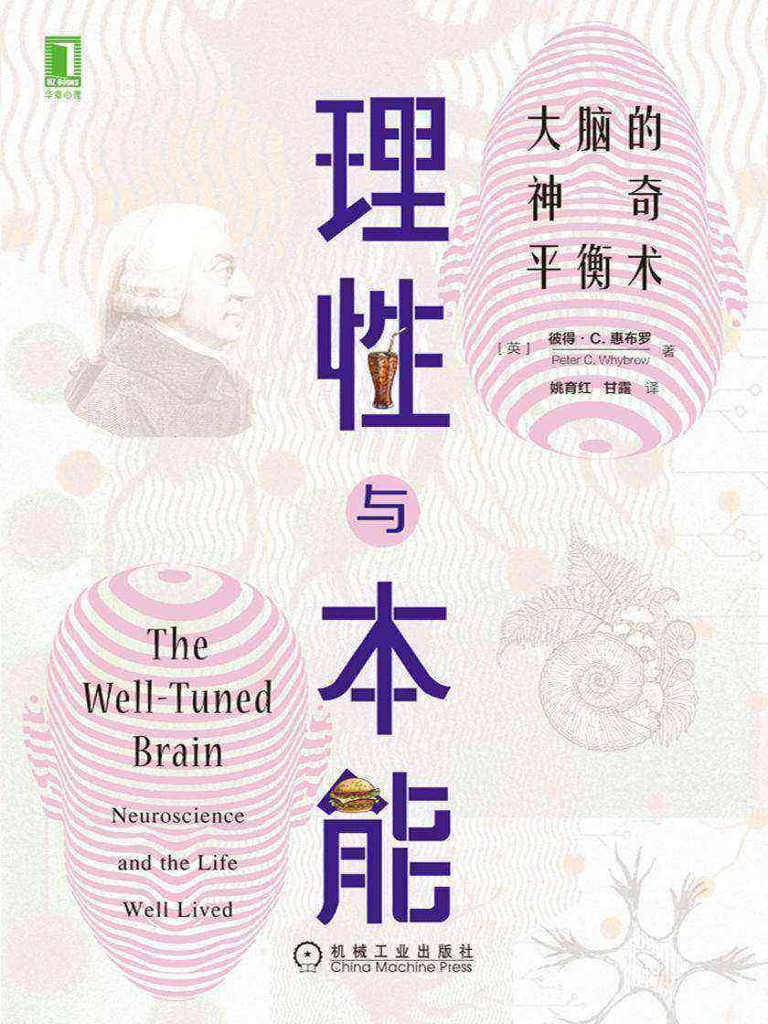 理性与本能:大脑的神奇平衡术