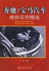 奔驰/宝马汽车维修实例精选