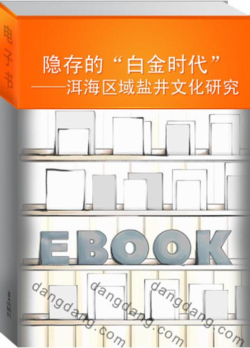 隐存的“白金时代”——洱海区域盐井文化研究
