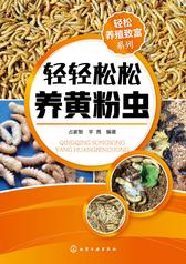 轻轻松松养黄粉虫