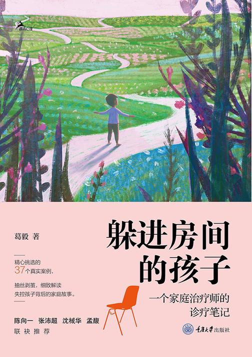 躲进房间的孩子:一个家庭治疗师的诊疗笔记