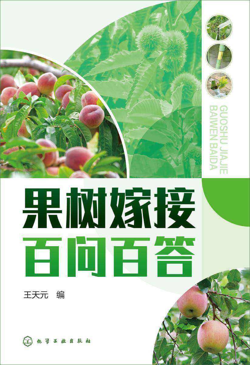 果树嫁接百问百答
