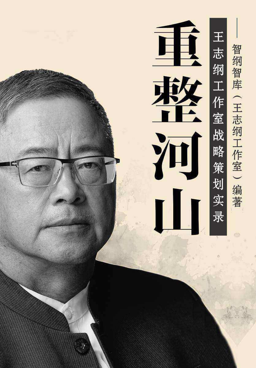 重整河山:王志纲工作室战略策划实录
