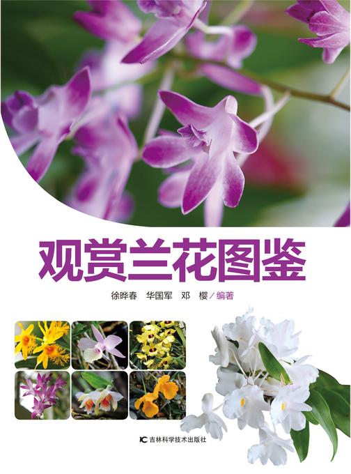 观赏兰花图鉴