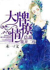 大牌撩情，总裁花开二度