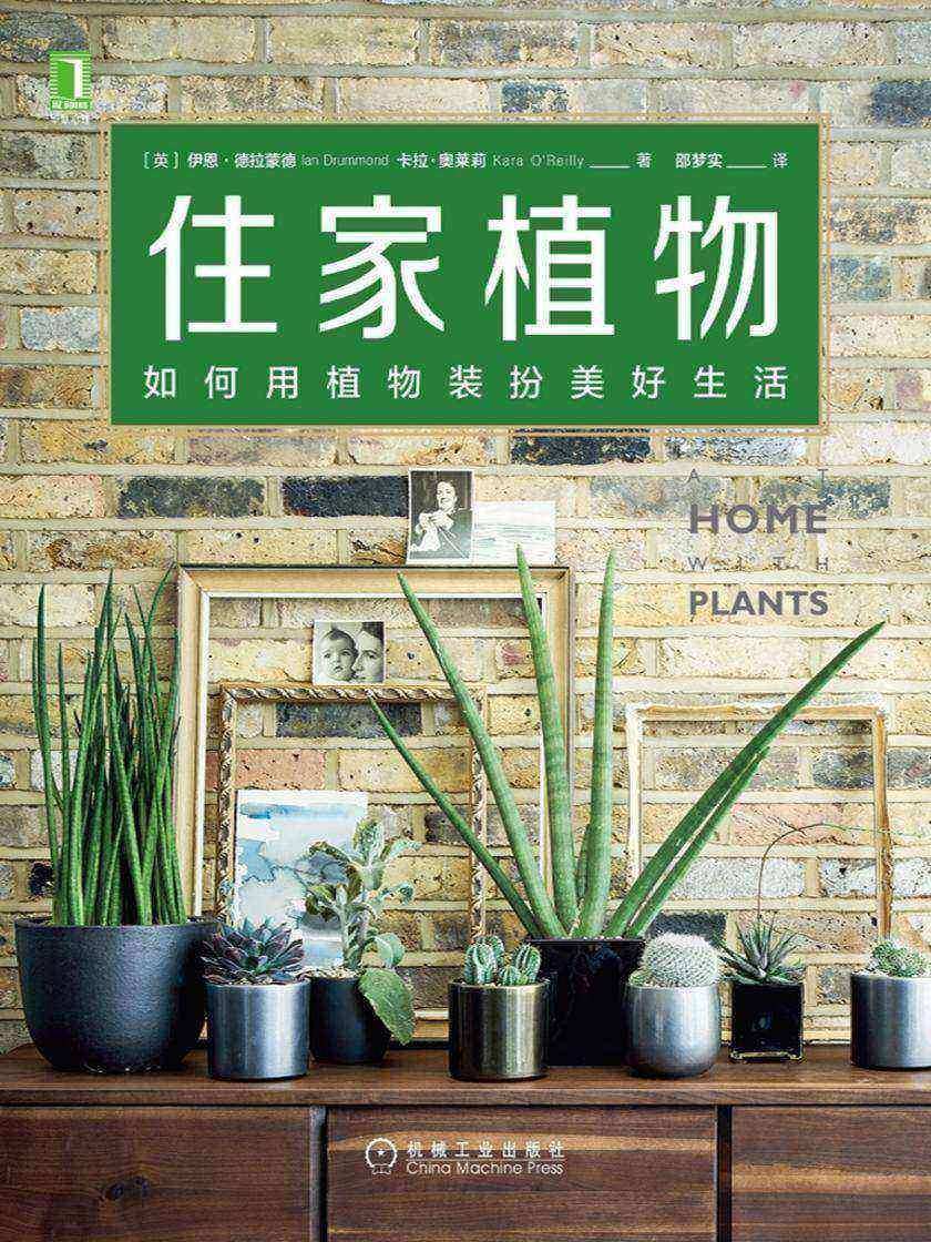 住家植物:如何用植物装扮美好生活