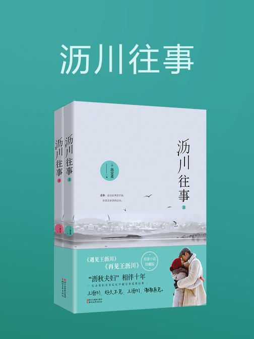 沥川往事(高以翔主演《遇见王沥川》电视剧原著)