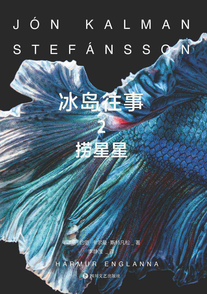 冰岛往事.2,捞星星【冰岛三部曲,关于世界尽头的孤独与爱。】