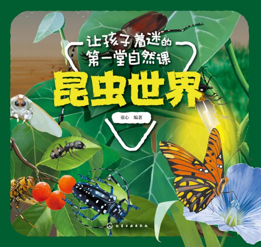 让孩子着迷的*堂自然课——昆虫世界