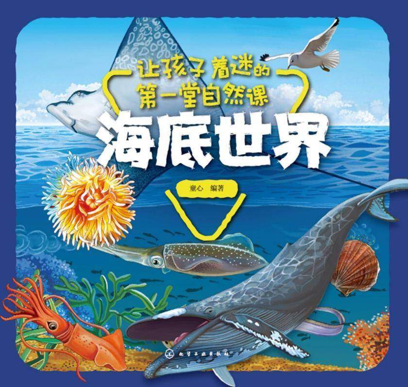 让孩子着迷的*堂自然课——海底世界