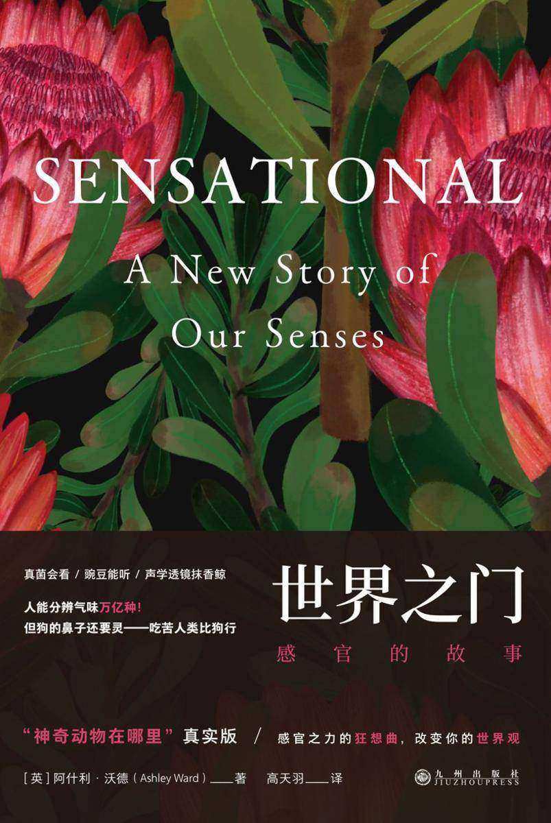 世界之门:感官的故事