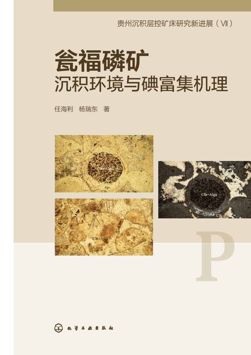 瓮福磷矿沉积环境与碘富集机理