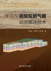 缝洞型碳酸盐岩气藏动态描述技术
