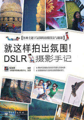 就这样拍出氛围！DSLR摄影手记(全彩)(试读本)