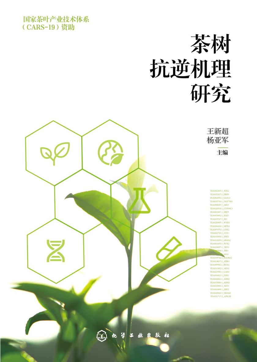 茶树抗逆机理研究