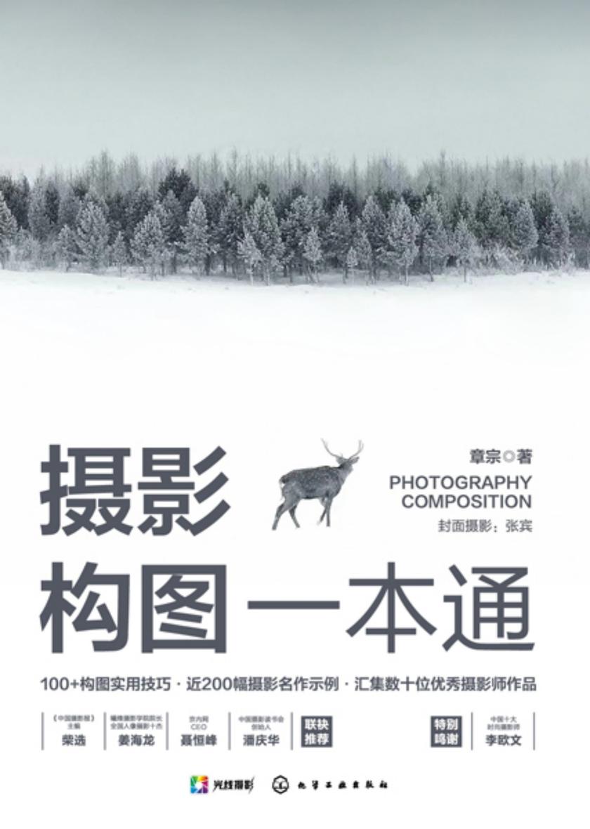 摄影构图一本通