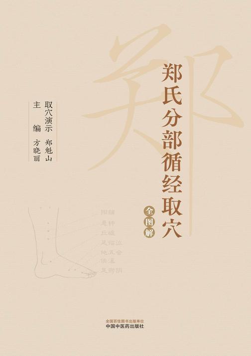 郑氏分部循经取穴全图解