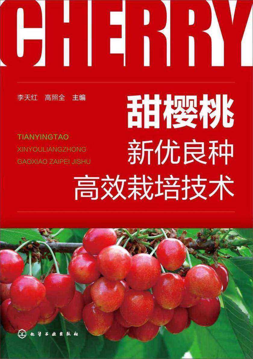 甜樱桃新优良种*栽培技术