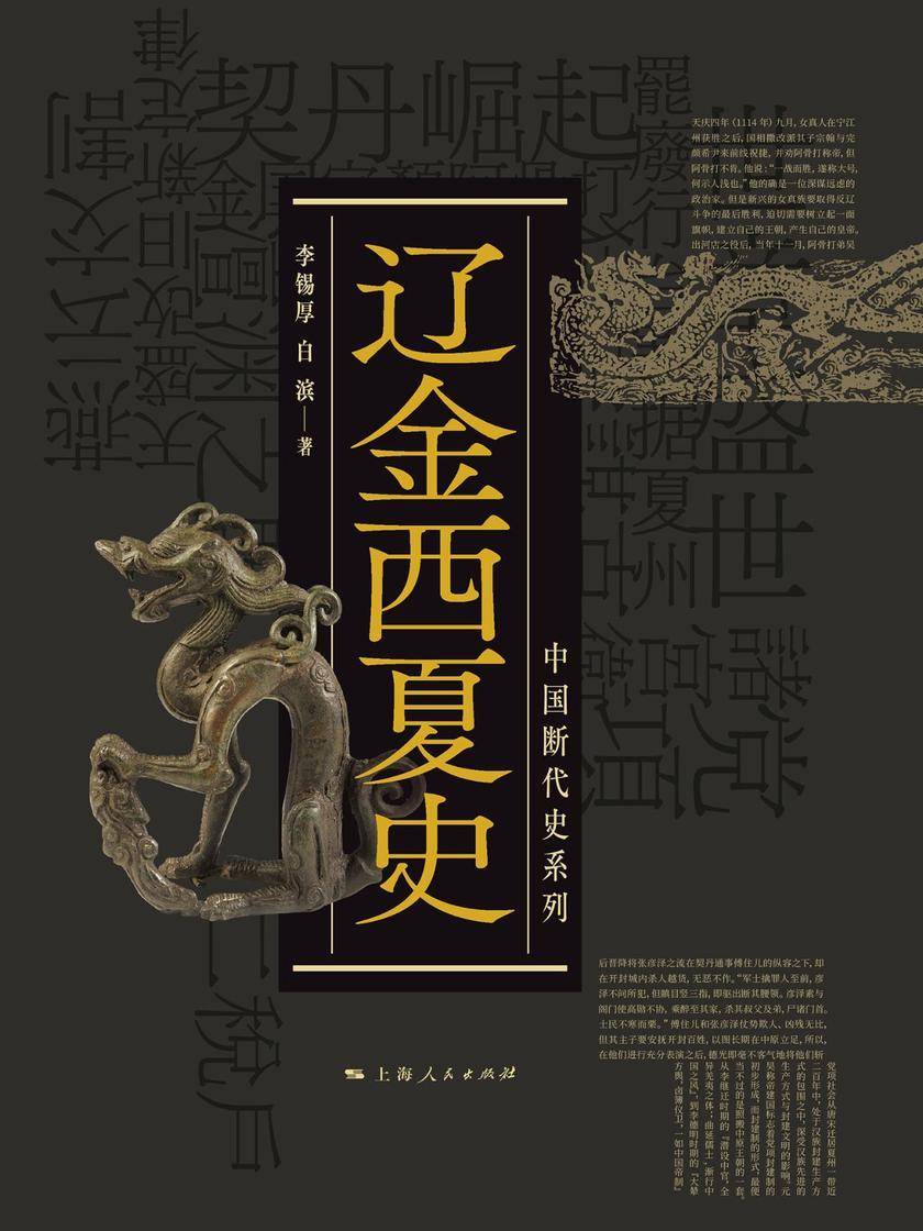 辽金西夏史(中国断代史系列)