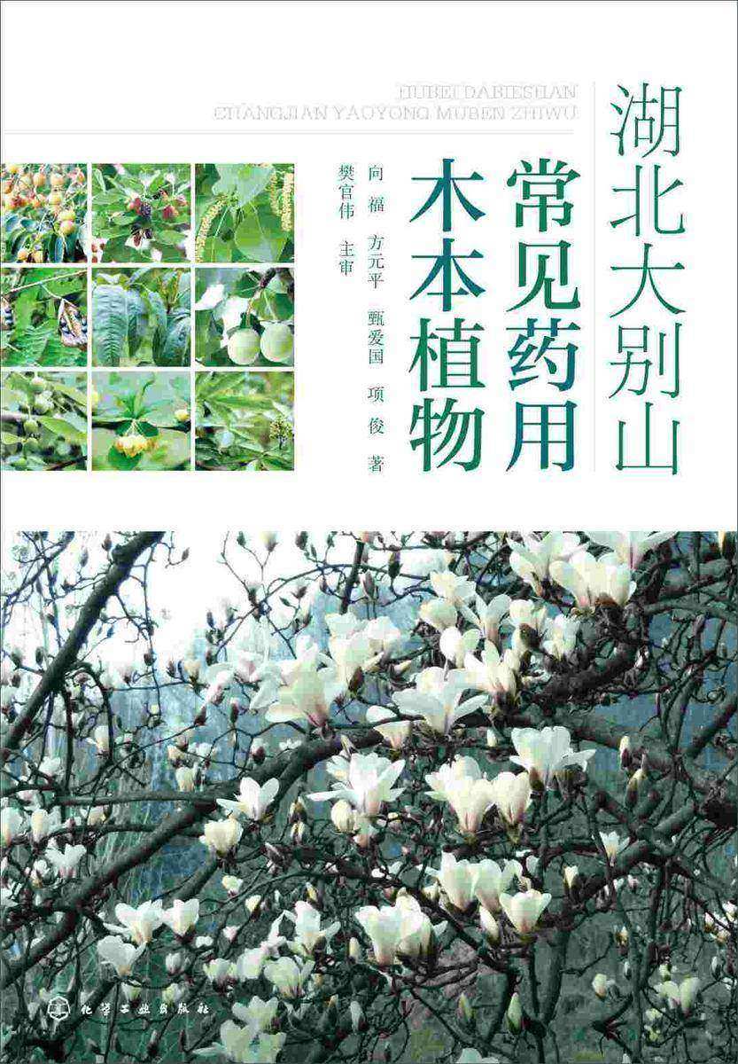 湖北大别山常见药用木本植物