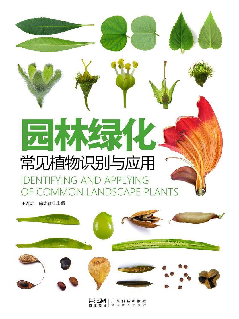 园林绿化常见植物识别与应用