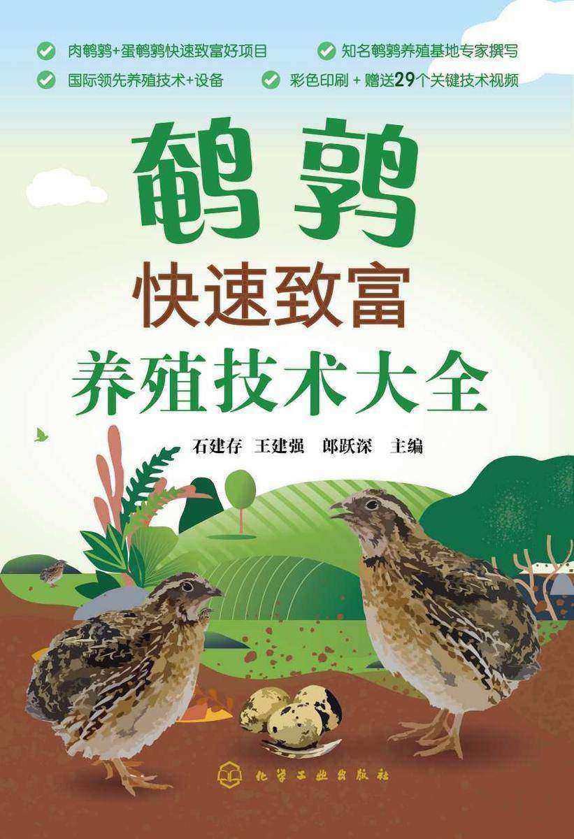 鹌鹑快速致富养殖技术大全