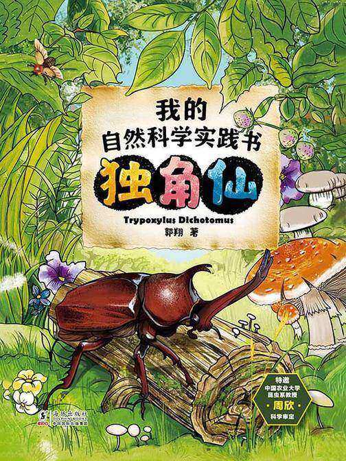 我的自然科学实践书·独角仙