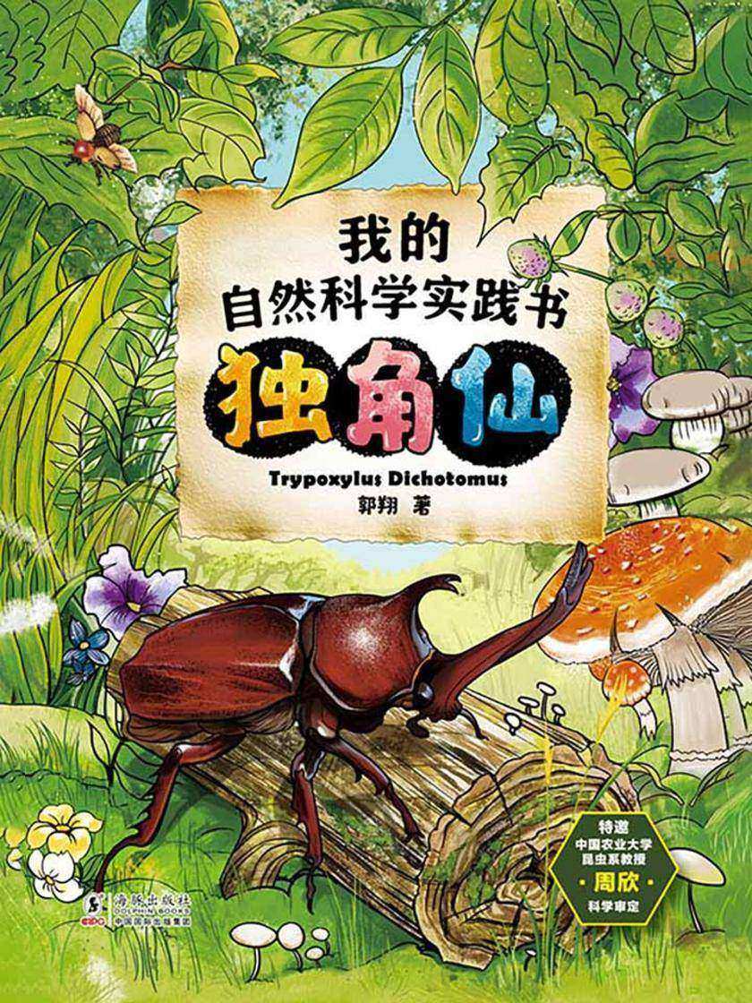 我的自然科学实践书·独角仙