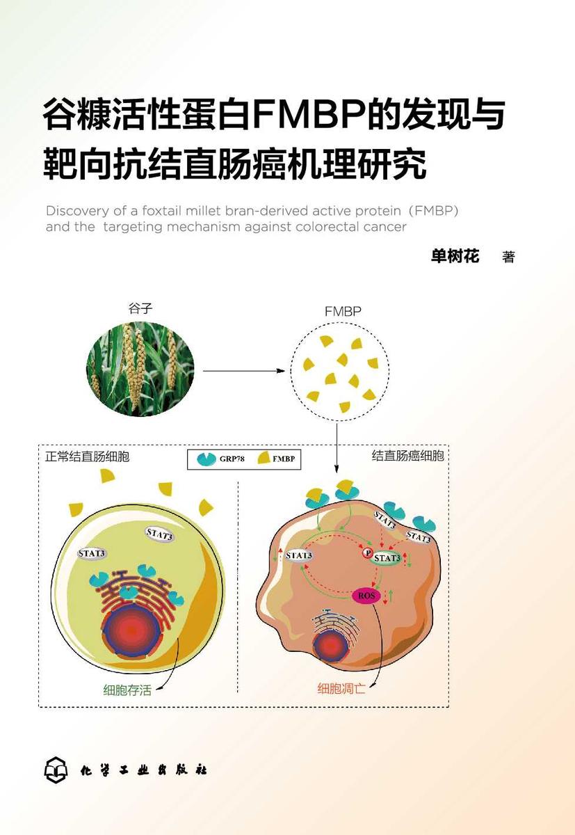 谷糠活性蛋白FMBP的发现与靶向抗结直肠癌机理研究