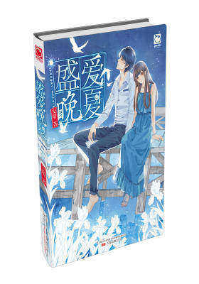 盛爱晚夏：她在最好的时光，失去了一切，现在，一无所有(试读本)