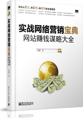 实战网络营销宝典：网站赚钱谋略大全（网站从建立，到盈利，到成功的全面指导）(试读本)
