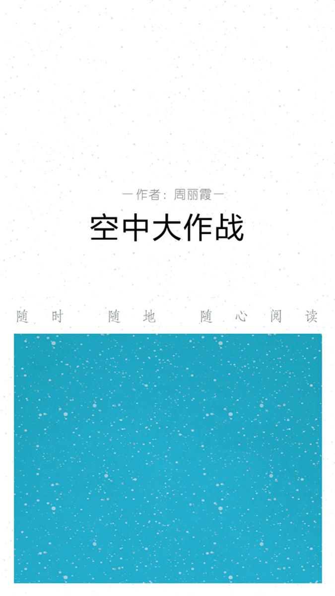 空中大作战