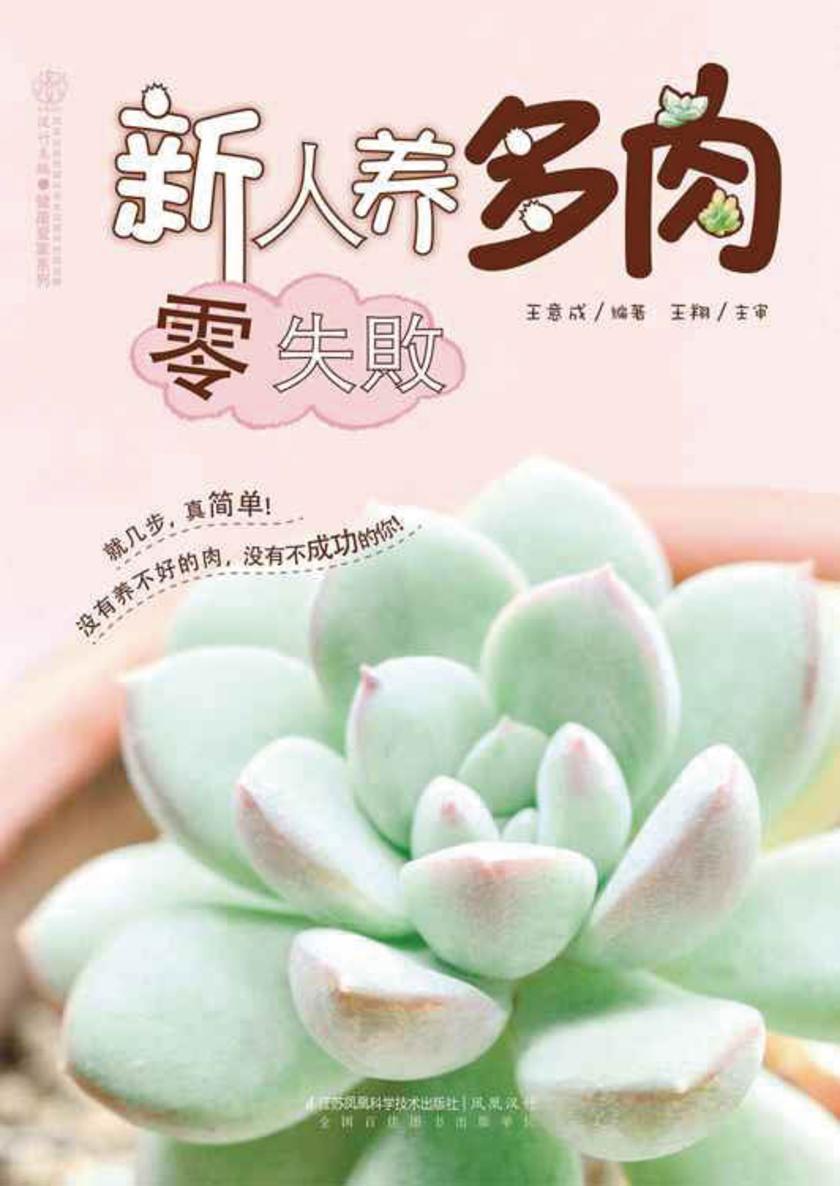 新人养多肉零失败