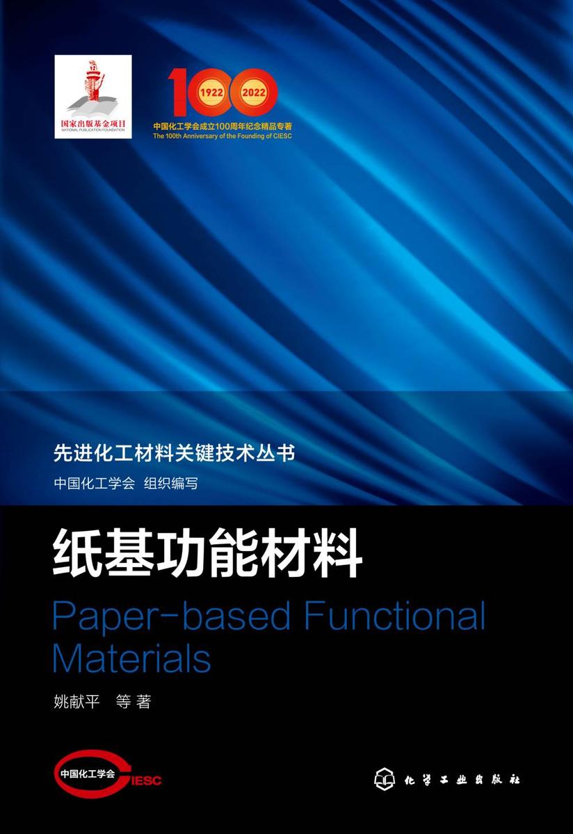 先进化工材料关键技术丛书--纸基功能材料