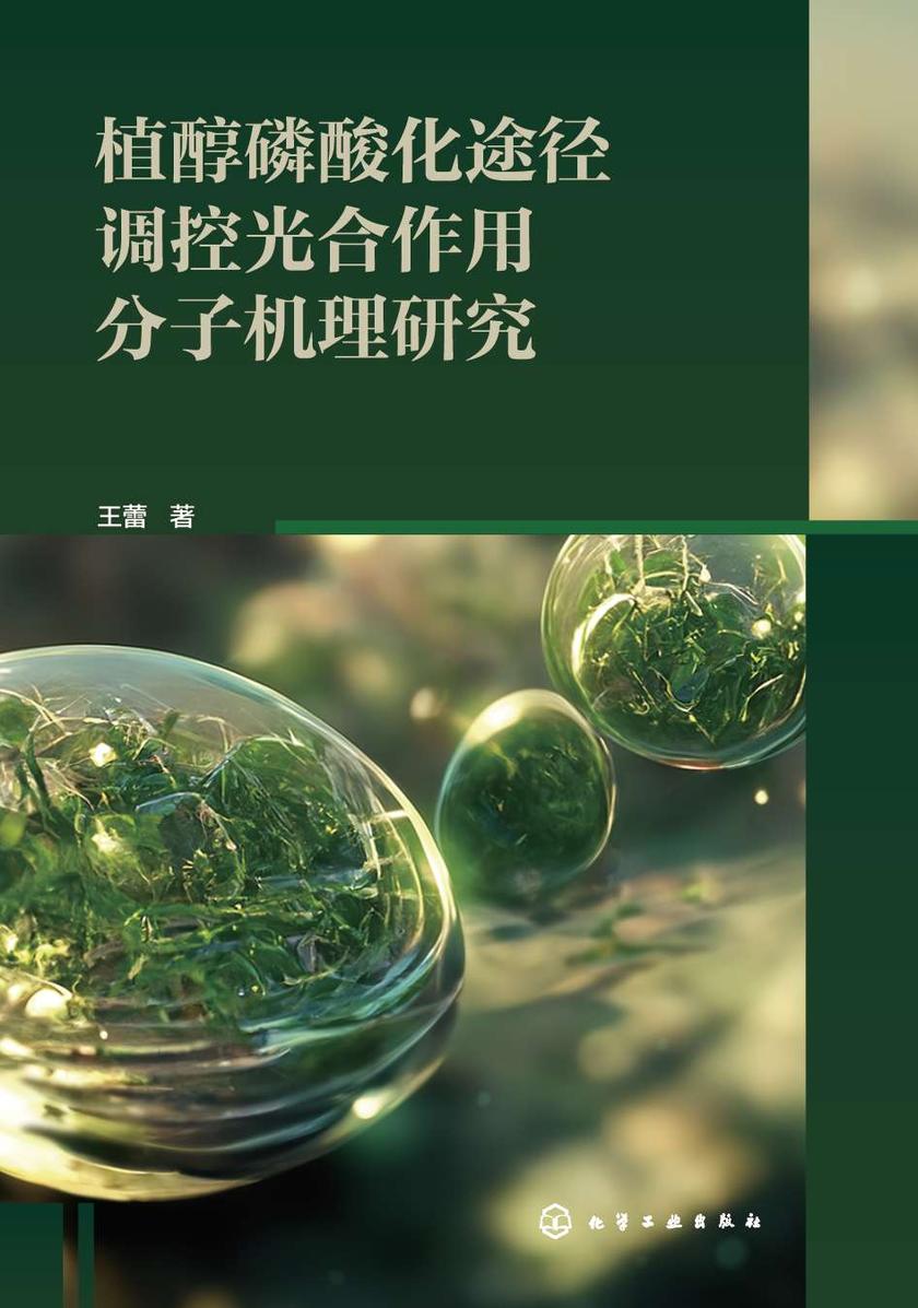 植醇磷酸化途径调控光合作用分子机理研究