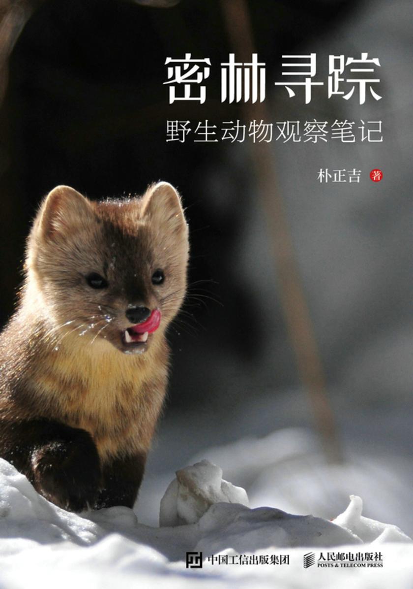 密林寻踪——野生动物观察笔记