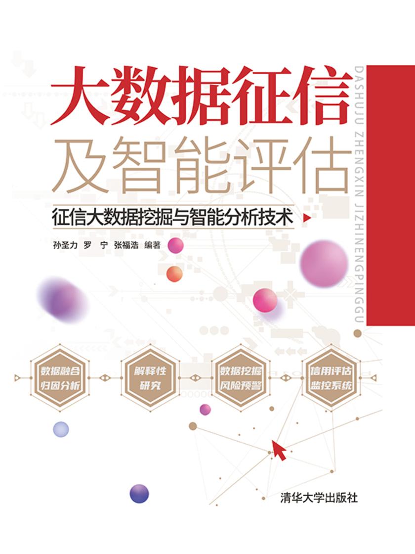 大数据征信及智能评估:征信大数据挖掘与智能分析技术