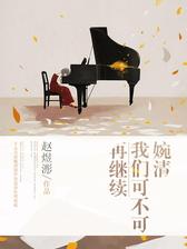 婉清，我们可不可再继续