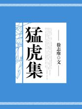 猛虎集
