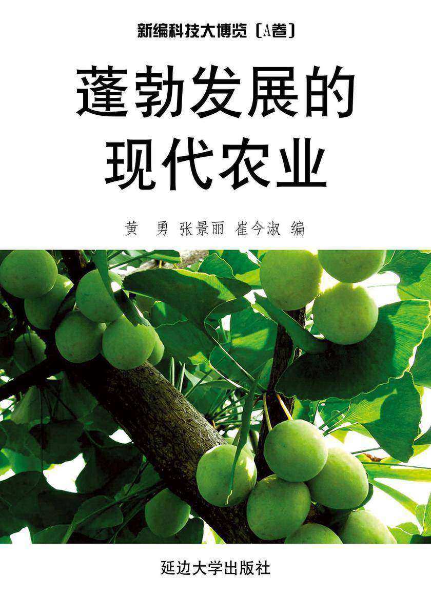 蓬勃发展的现代农业