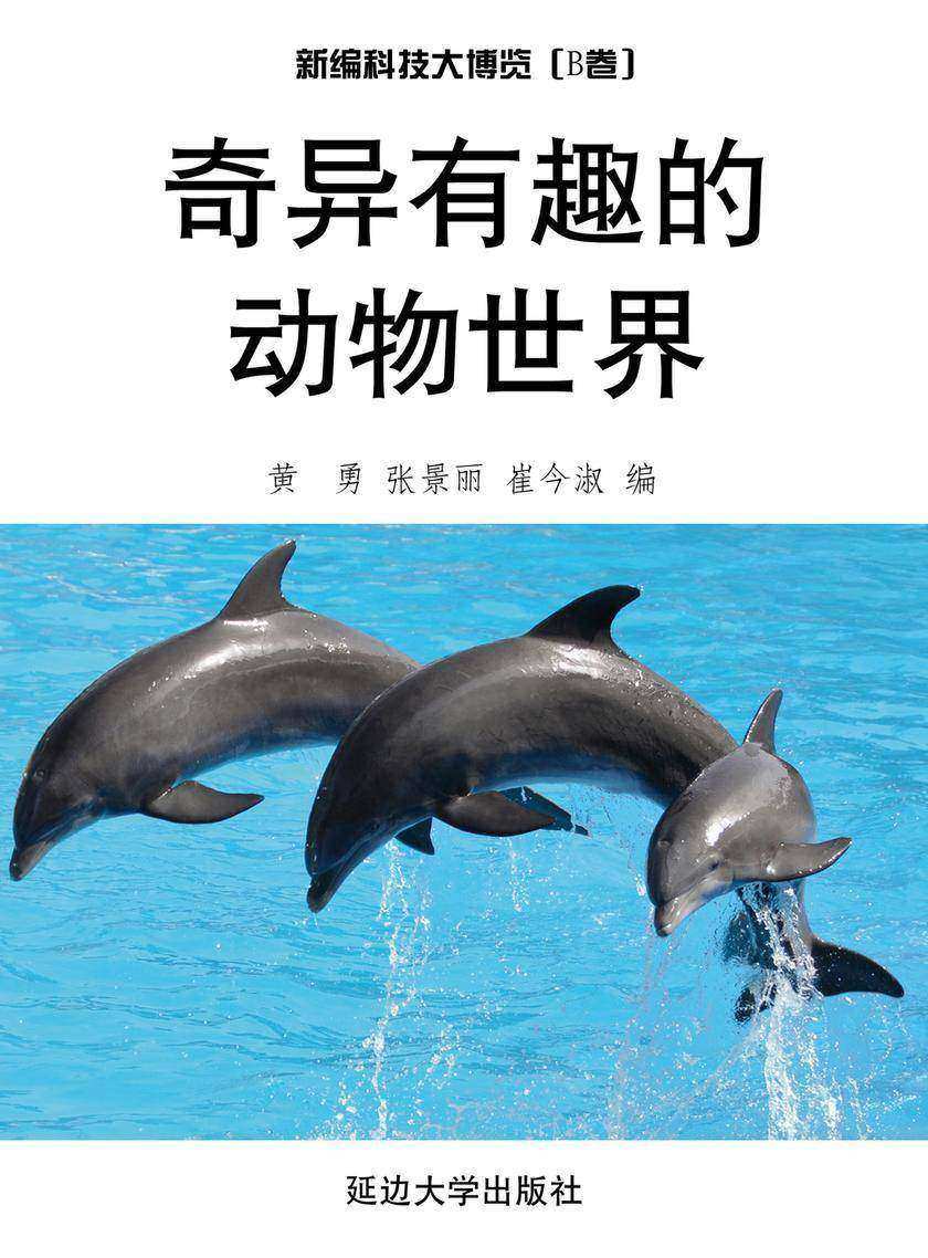 奇异有趣的动物世界