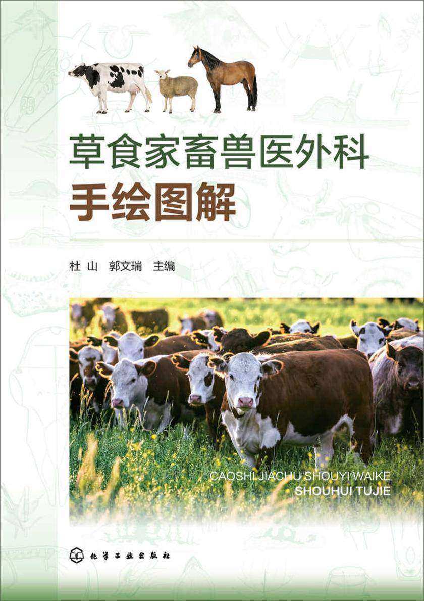 草食家畜兽医外科手绘图解