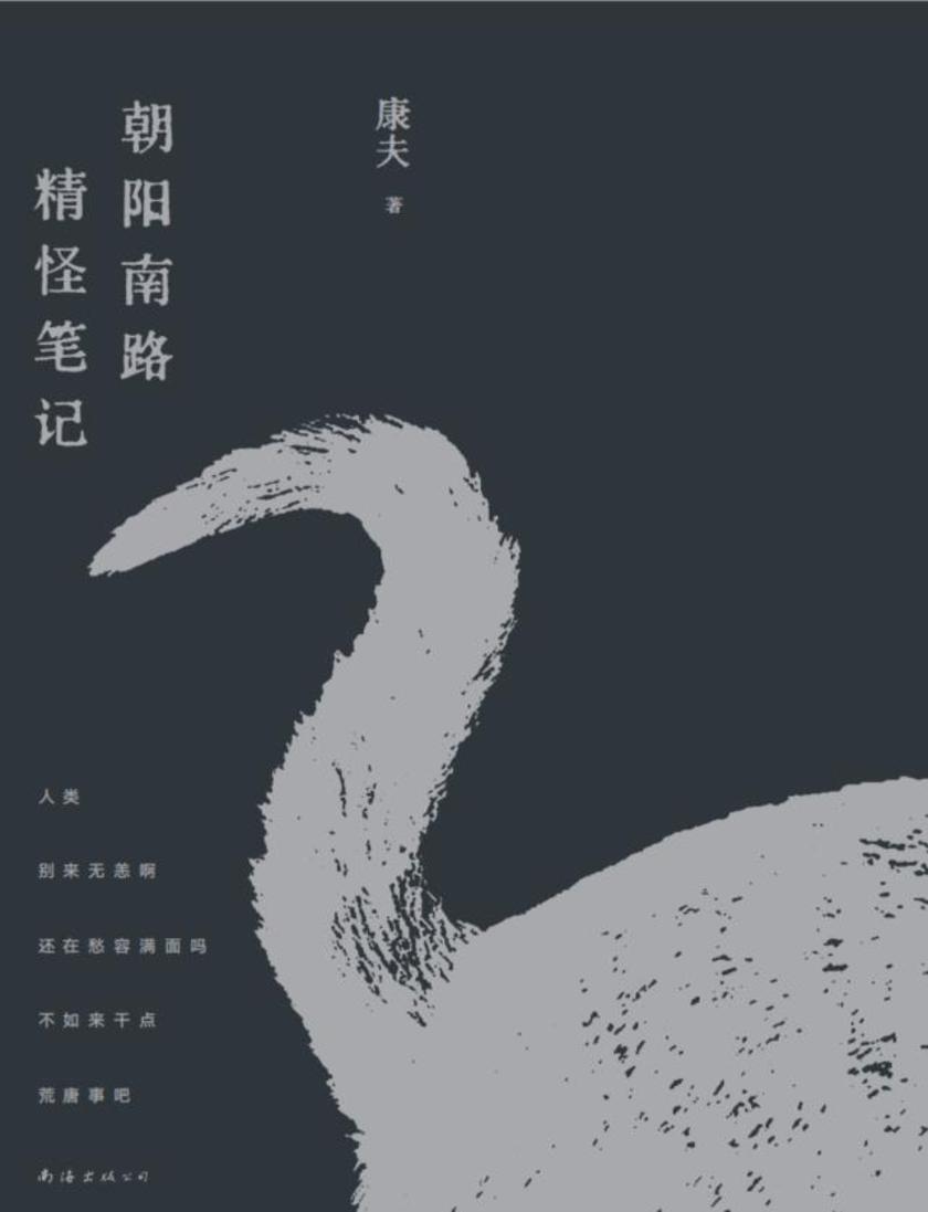 朝阳南路精怪笔记:灰猫事务所